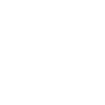 starry-partners-250