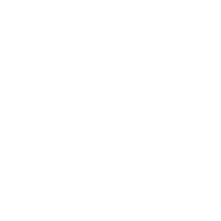 starry-partners-250