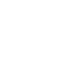 Georgetown Project